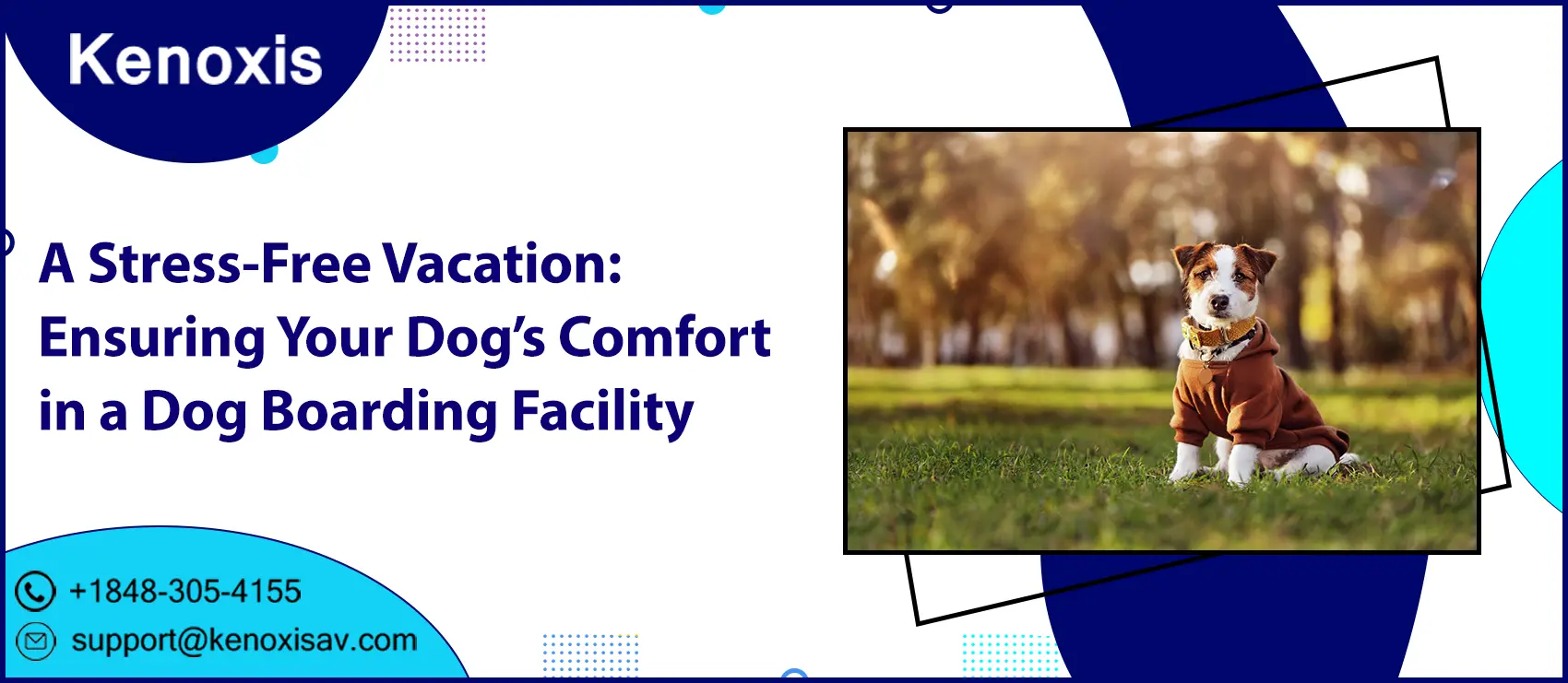 A Stress-Free Vacation: Ensuring Your Dog’s Comfort in a Dog Boarding Facility 