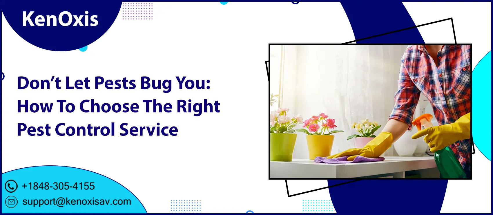 Don’t Let Pests Bug You: How To Choose The Right Pest Control Service