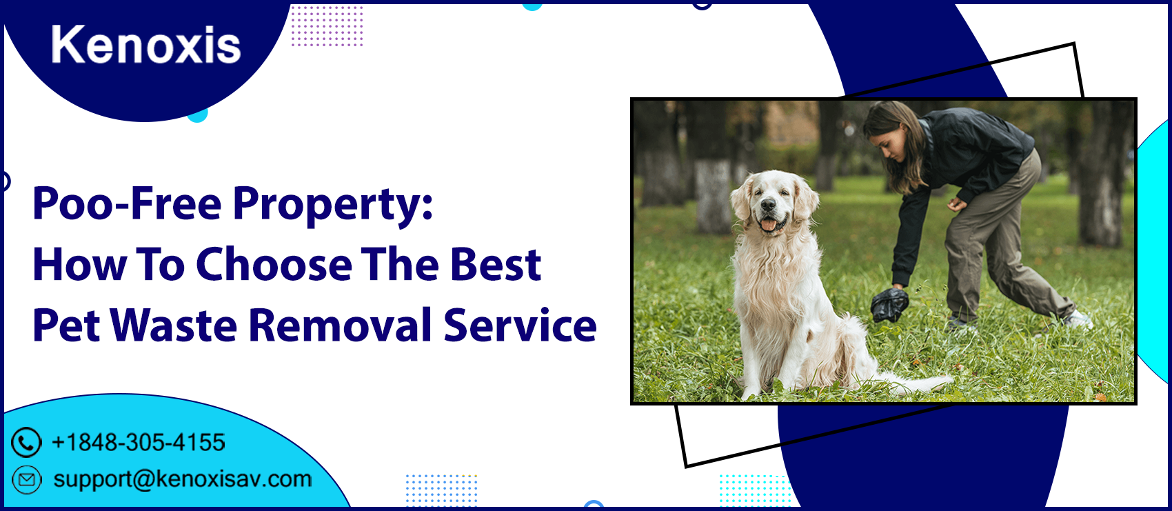 Poo-Free Property: How To Choose The Best Pet Waste Removal Service